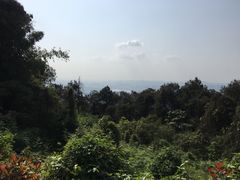 -铁山坪森林公园