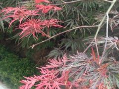 iphone_upload_pic-必敬斋