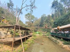 -西双版纳原始森林公园