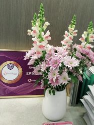 -联合丽格·张菡丽格医疗美容