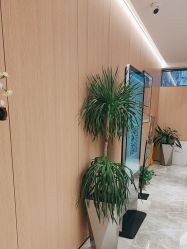 -柠润·Onda塑形·海菲秀·科技美肤中心