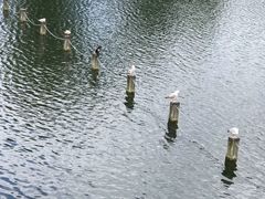 -海德公园