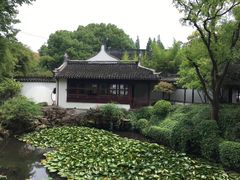 -上海醉白池公园