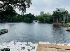 -荔湾湖公园