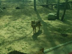 -北京野生动物园