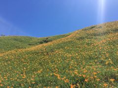 -七星潭蓝天广场