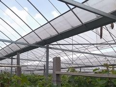 -马陆小张葡萄园农家乐