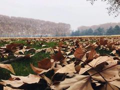 -河南省黄河迎宾馆