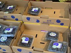 -鲜力达果品批发直销(青山店)