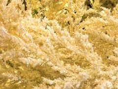 -都可手作(学士街手作店)