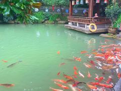 -兰溪地下长河