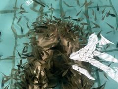 -天山海世界·米立方