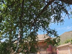 -瞿昙寺
