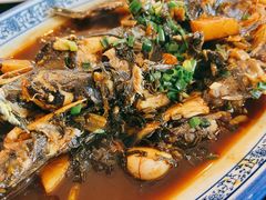 红烧溪水鱼-山菜馆(竹海公园店)