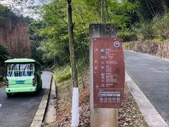 -都江堰中华大熊猫苑