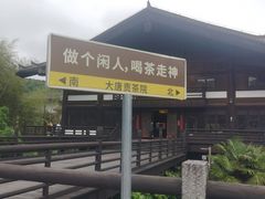-大唐贡茶院
