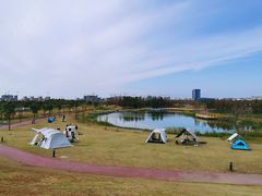 -春花秋色城市公园