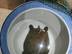 -元银甲·湖北地标美食(汉阳店)
