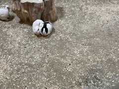 -秦皇岛新澳海底世界