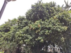 -天河儿童公园