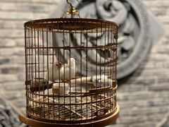 -四喜小胖·北京涮肉(五道营店)