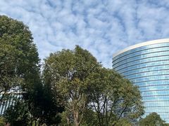 -舟山希尔顿酒店