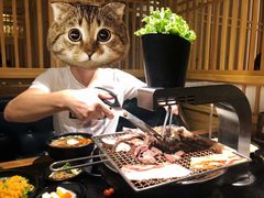 -九田家黑牛烤肉料理(珠江摩尔店)