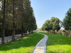 -同里国家湿地公园