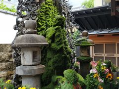 -Hōzen-ji Temple法善寺