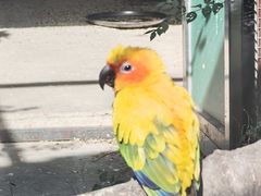 -沈阳鸟岛