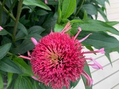 -保尔卓美园艺有限公司