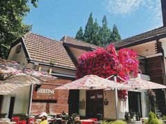 -弗兰克牛排西餐厅Ribone steak house(柠檬花园店)