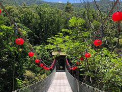 -海南热带雨林国家公园吊罗山景区