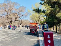-北陵公园