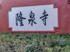 -百脉泉景区