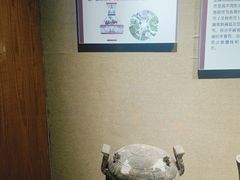 -洛阳周王城天子驾六博物馆