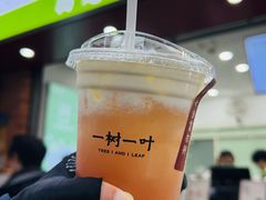 -一树一叶·福建茶档(石鼓路店)