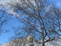 -路易·威登(香榭丽舍大道店)