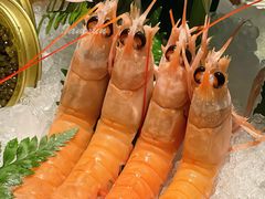 -Mr.Fish鱼鲜生海鲜放题(高德置地冬广场店)