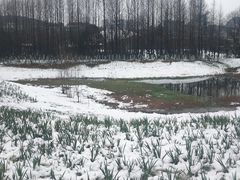 -贵阳市花溪国家城市湿地公园