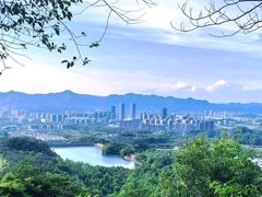 -大奇山国家森林公园