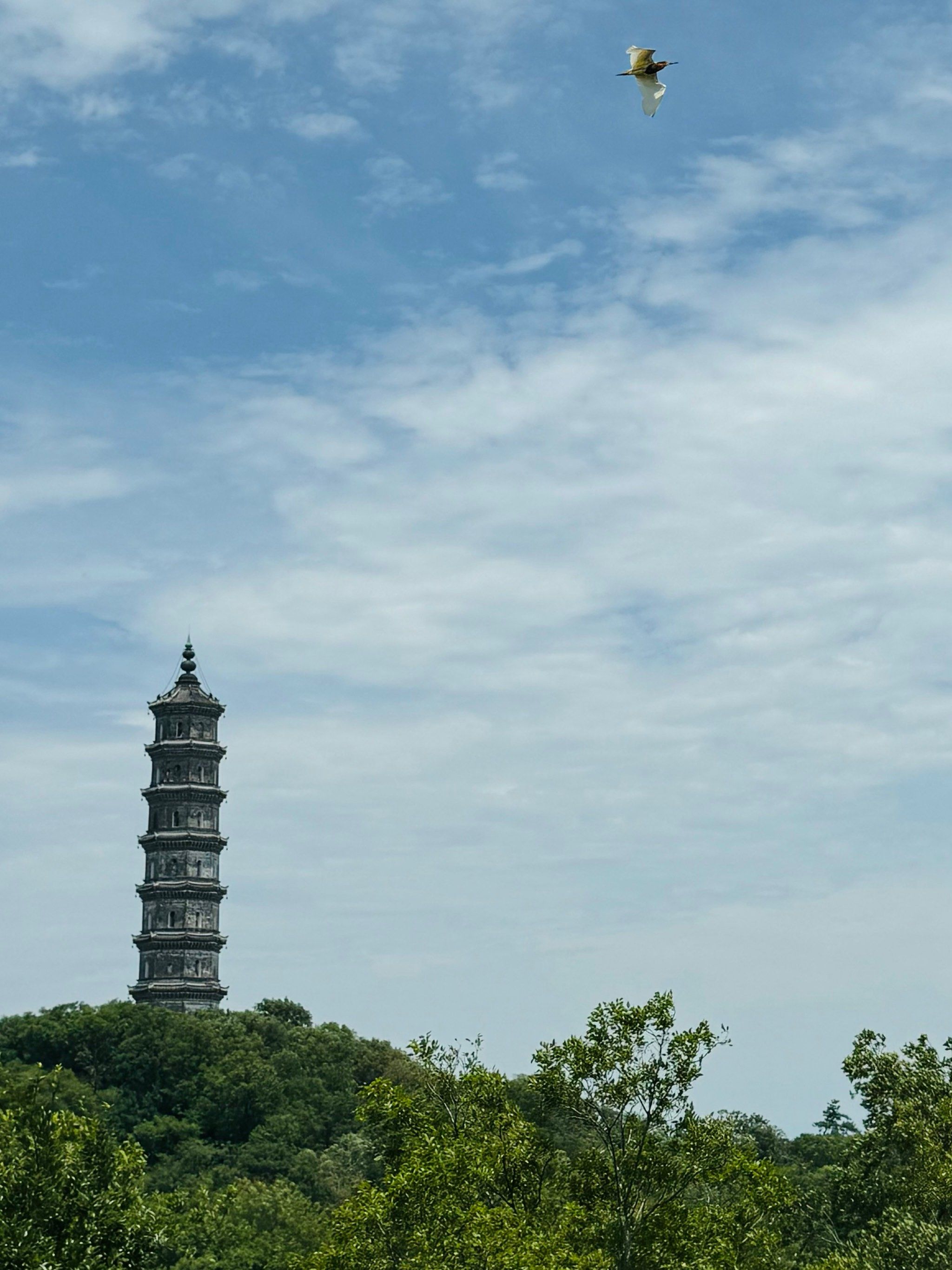 湖心岛的city walk