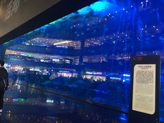 -成都浩海立方海洋公园