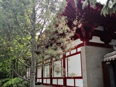 -宝庆寺塔