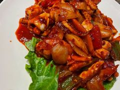 辣炒鱿鱼-GOGIYA·咕叽吖韩国传统烤肉店(小榄店)