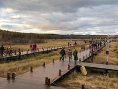 -塞罕坝国家级自然保护区