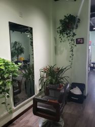-初心HAlRSALON烫染接发