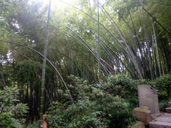 -杭州黄龙洞
