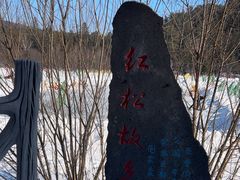 -五营红松林海景区