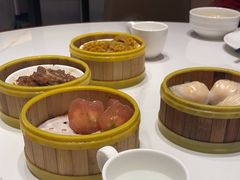 -东方早茶 海鲜•青岛菜(国信体育中心店)